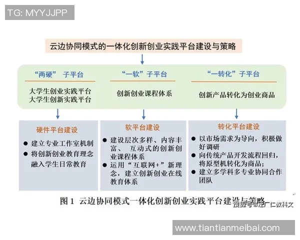 打造创新型个人项目的实施路径与优化策略探索